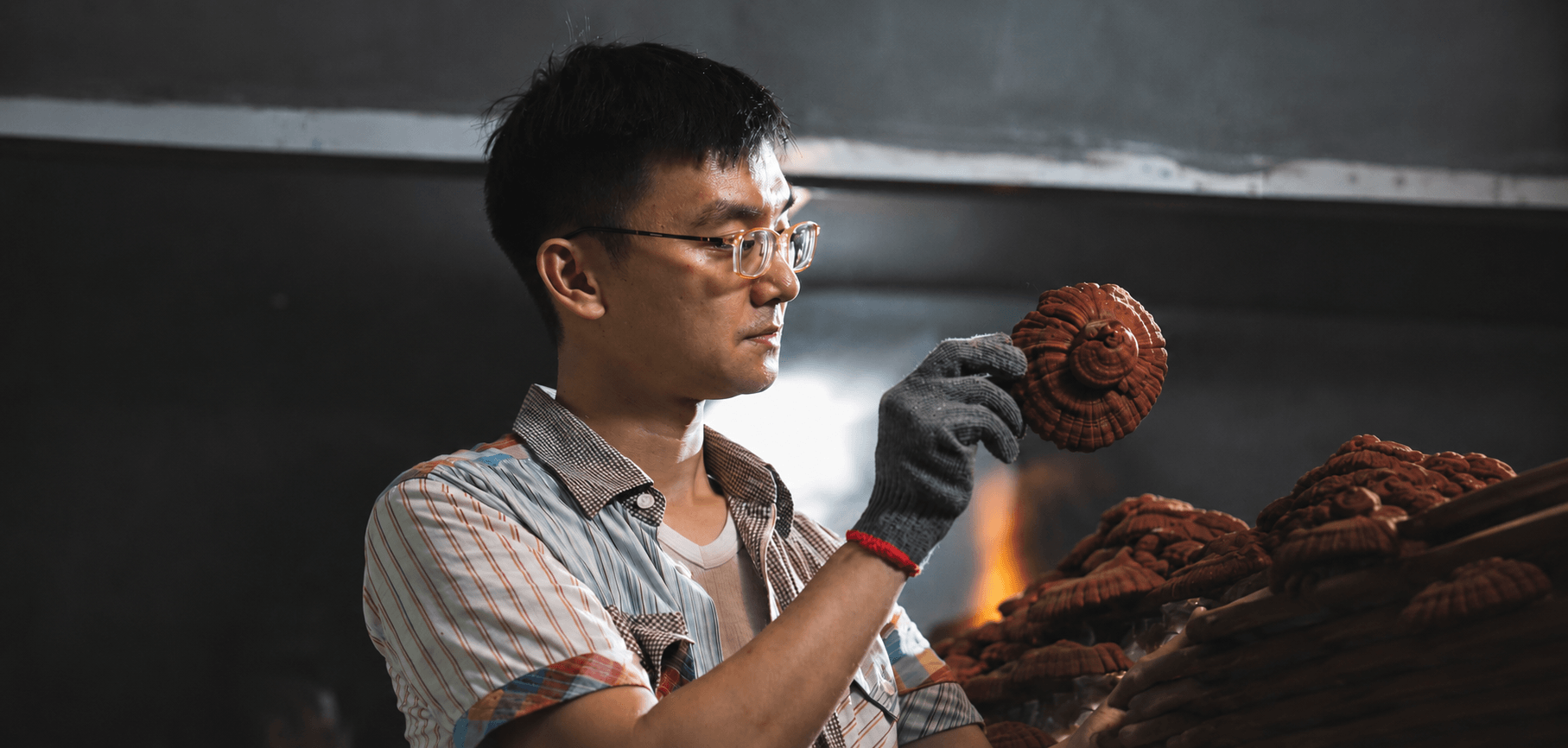 三才團隊在靈芝栽培環境中巡視與觀察